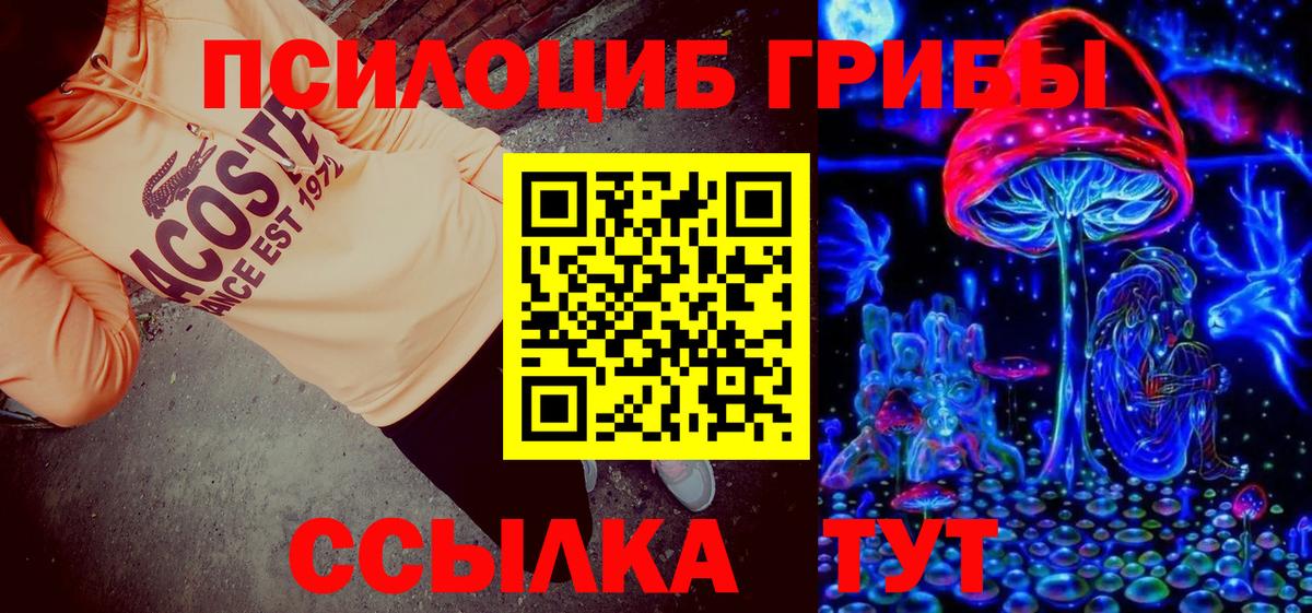 Галлюциногенные грибы Psilocybine cubensis Элиста