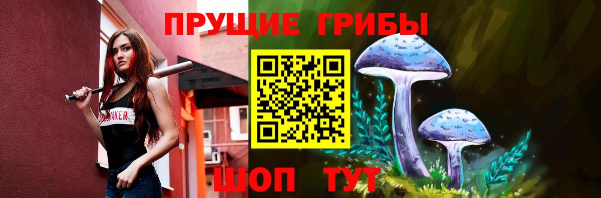 Псилоцибиновые грибы GOLDEN TEACHER  Псилоцибиновые грибы прущие грибы  Элиста  Вход с VPN 