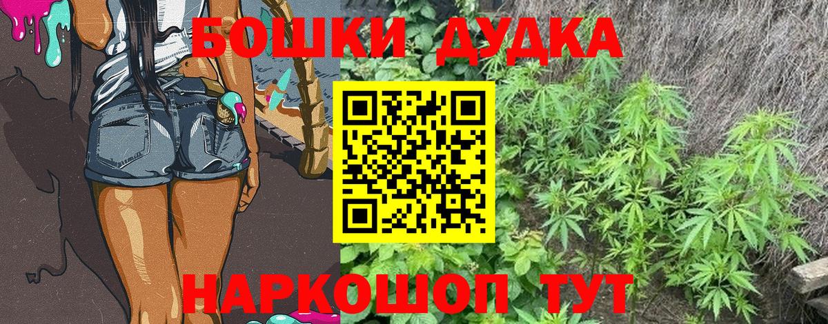 Шишки марихуана ГИДРОПОН  Марихуана Bruce Banner  Элиста  Вход с VPN 
